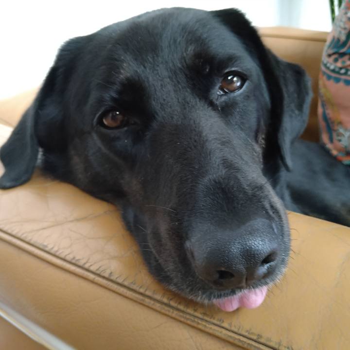 A092ae68 8c02 469c 9c1c e2c82f0f6f41 1601791304719