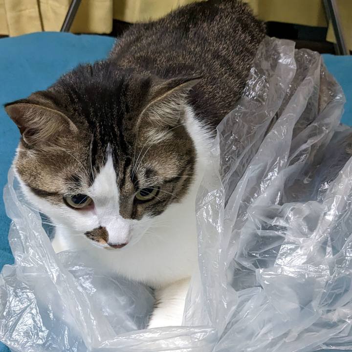 A092bfe3 68e8 4986 8d7e 4068cc69260f 1674393548068