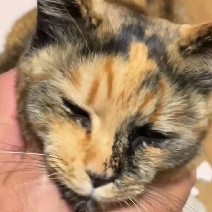 A092cde9 7e84 4fc8 8af0 13484e9389d4 1739131655788