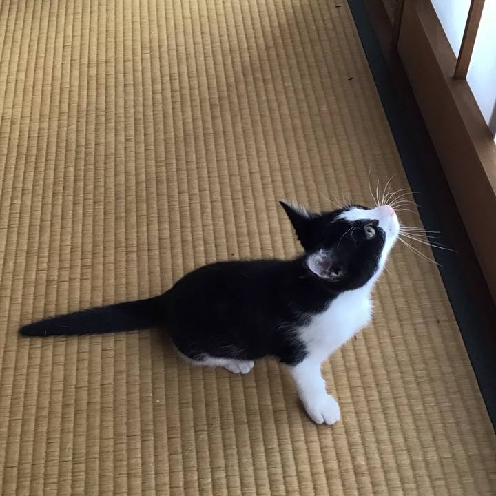 A092fd0e cae4 4587 a231 159dafcbd812 1625624085270