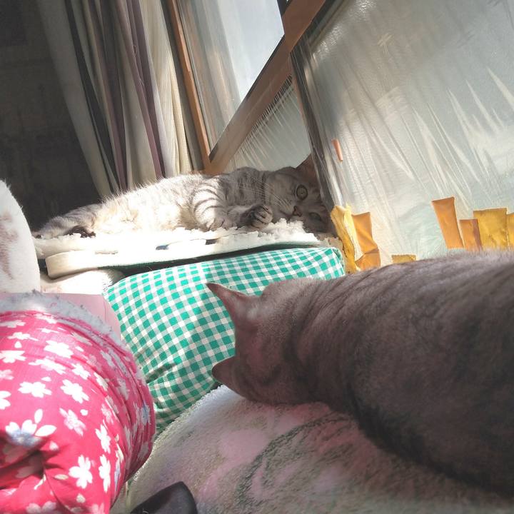 A092ff41 b37f 47fb b5dd fa220511e937 1602145140034