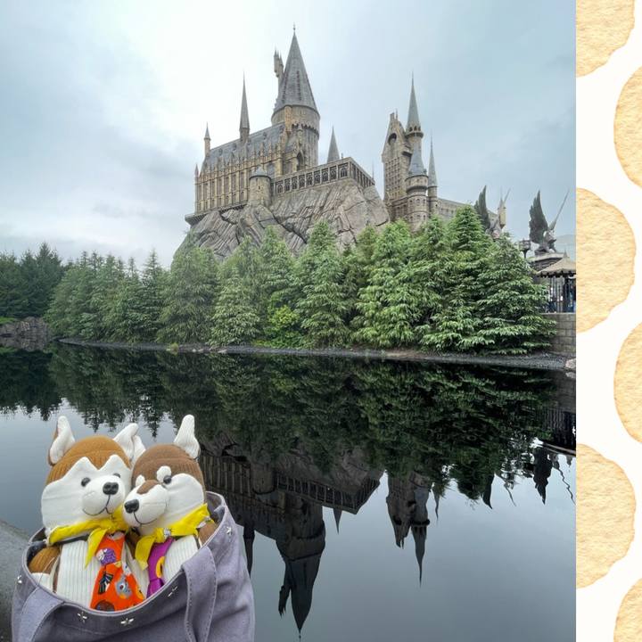 A0930cf5 b304 42a6 9295 ed29e158d506 1665484920150