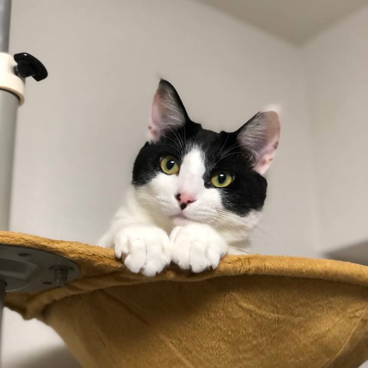 A0931132 b015 4c78 94cb 6a704459b15a 1631893403575