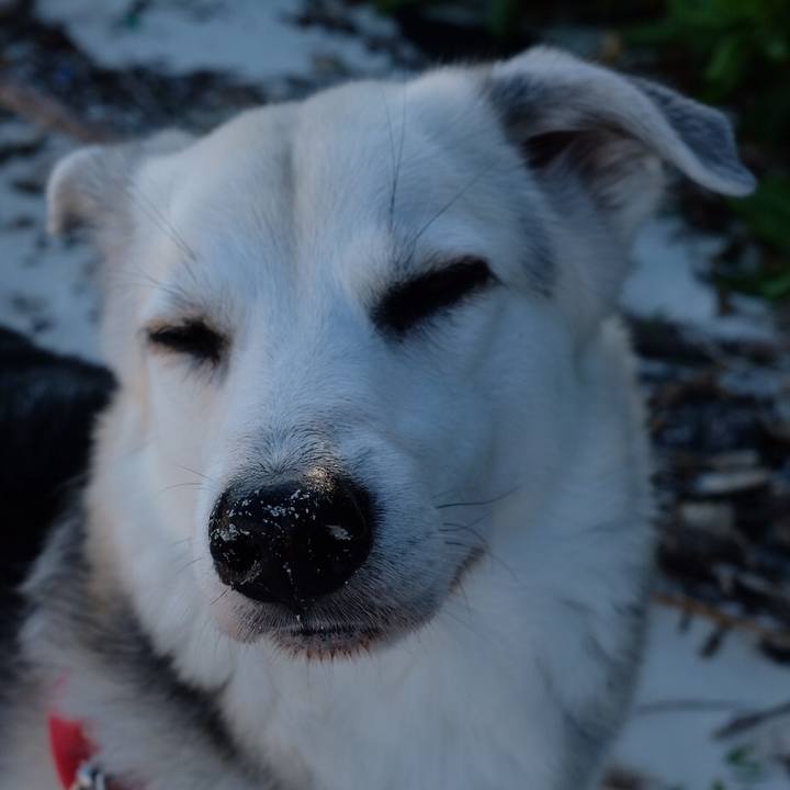 A09351cb 680b 4c77 bcf2 654d39153fa1 1576466947320