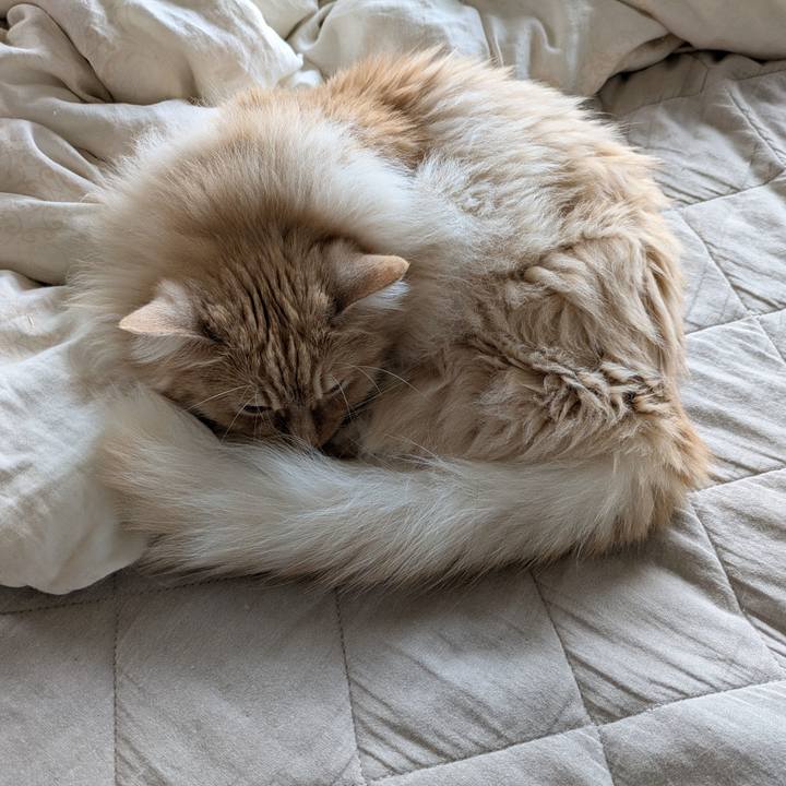 A09355ca 1138 4708 8e8f ec1abfabe214 1747023332006