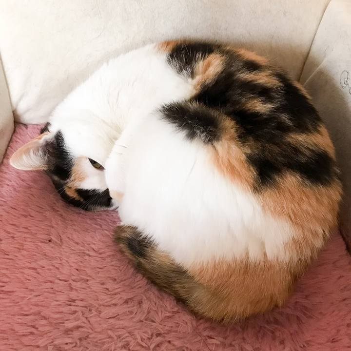 A09376a0 9b14 40bd b5bf a0d4c6326297 1524494026194