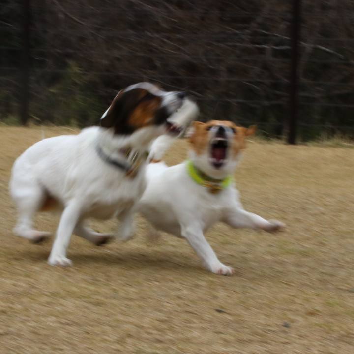 A0938e4e 784e 4043 9a67 b98d889d35ca 1553394591601