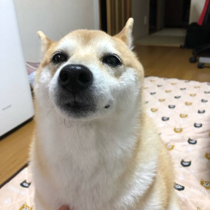 A093e3fe 33e0 4490 a8dc 1eecf6ffcf4b 1557756462807