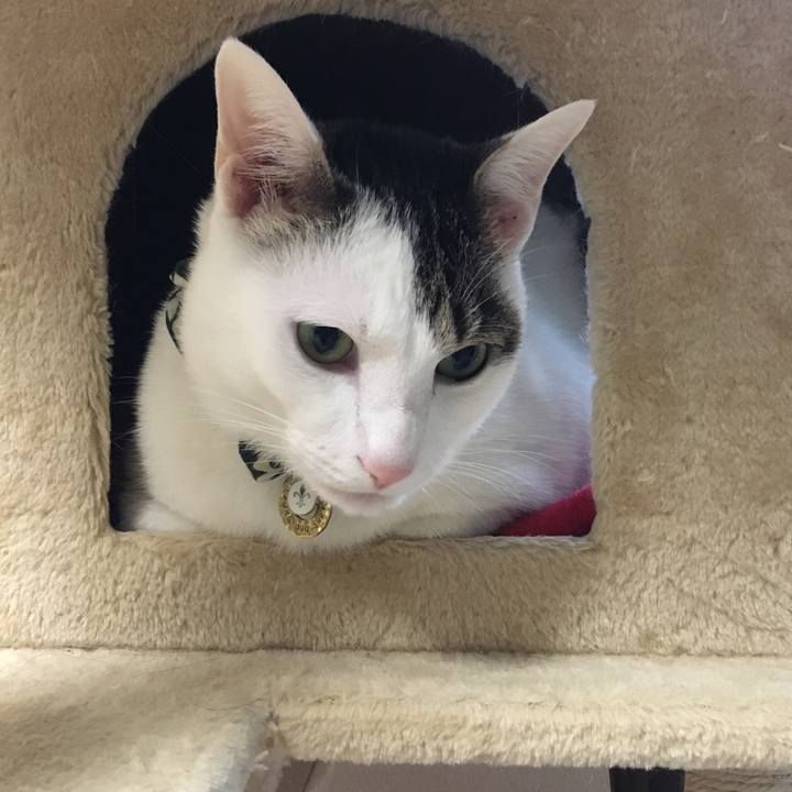 A0940ff2 8ee8 4fc5 a623 2f966746531a 1510138629649