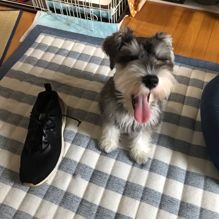 A09413f6 84a8 4437 bc9b 315a4849f06d 1567236809605