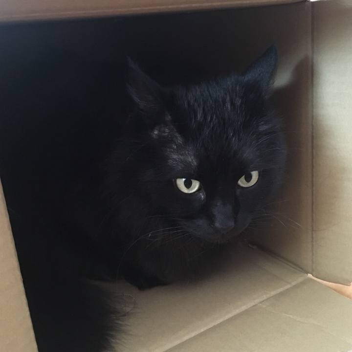 A094973d 6220 413e bc0b 7f230aef6ea7 1554261366091