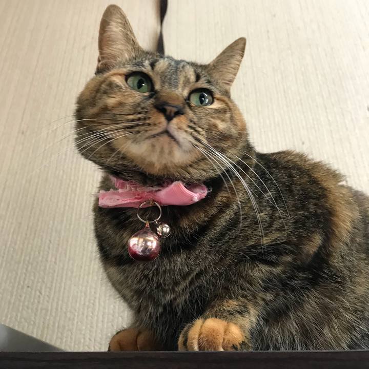 A094a7d2 0222 4b70 a11c cc6dbd99b68d 1512086711974