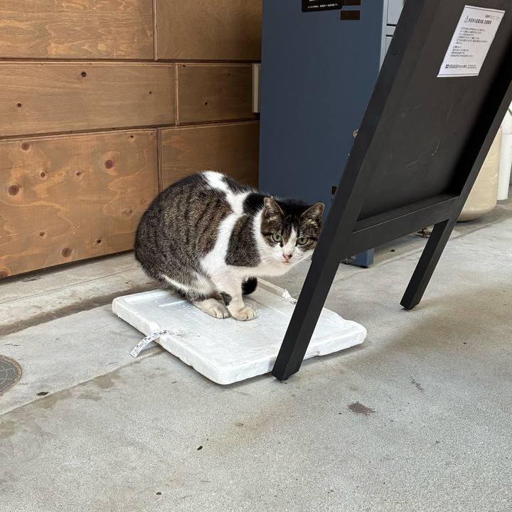 A094b857 5816 4337 ad9f d0f6fd1ea496 1765589349964