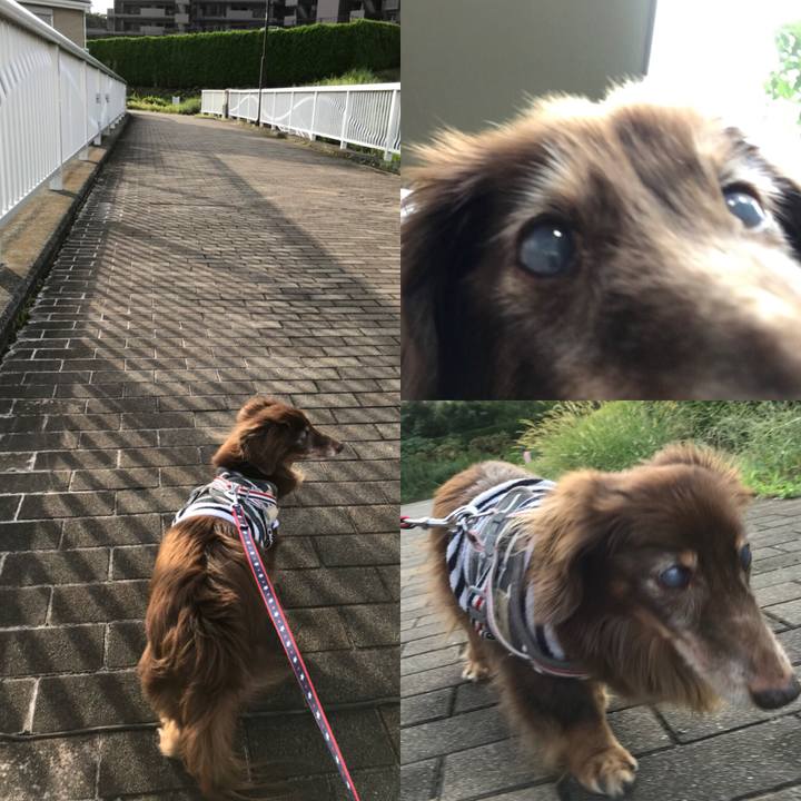 A094bf77 885d 4774 9628 2b7f6e2ee9ac 1536725165867