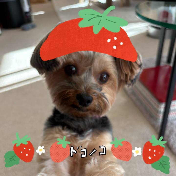 A094c036 1e34 4dac 97aa 65666861bbd3 1775257301090