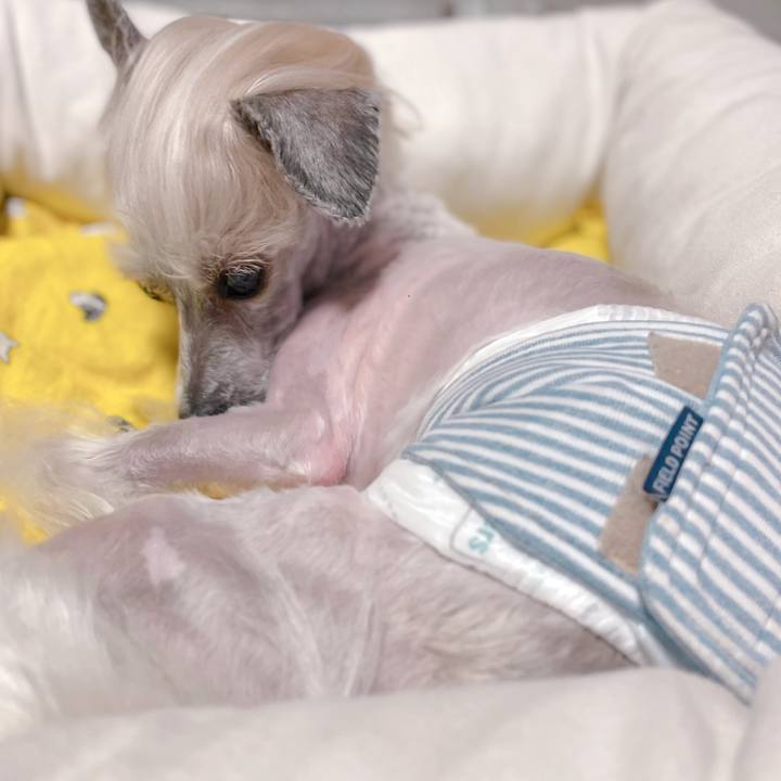 A094e118 a192 4574 b5ff 5016964db3f7 1763369053417