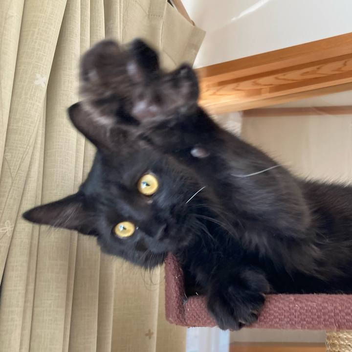 A0956f06 021c 4090 859d de62b4c13491 1707117904374