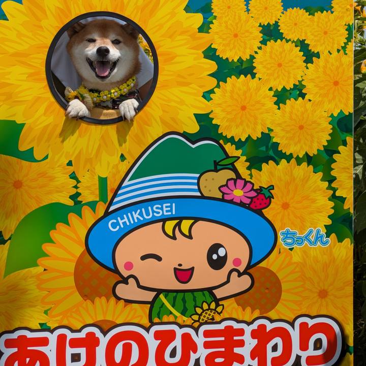 A09594e8 9eaf 413c a485 165b9f645a97 1756612784080