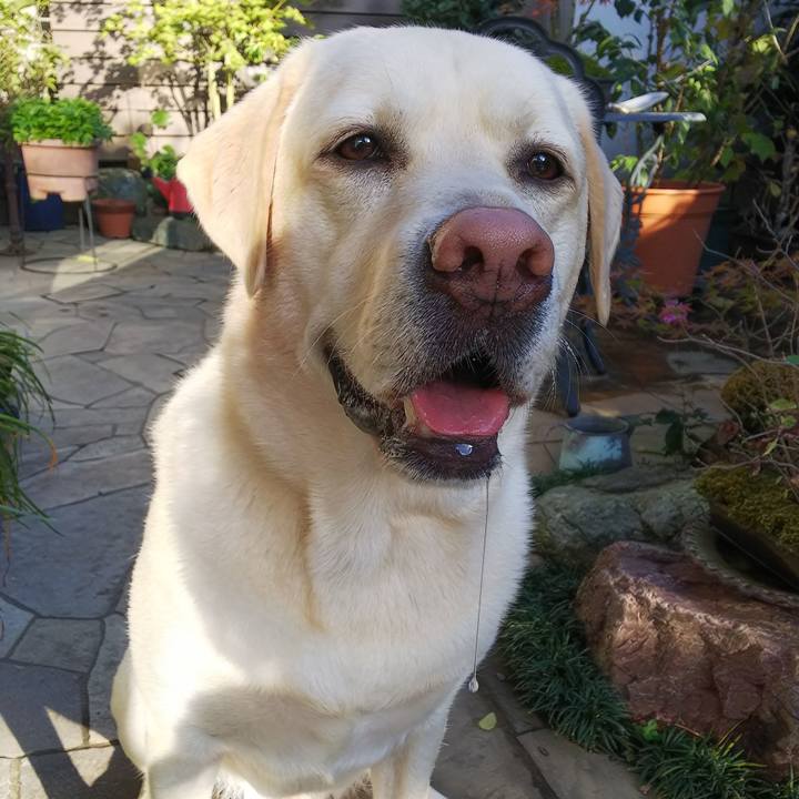 A095ed35 6eb9 4065 b6bd b8caa767a077 1574142309893