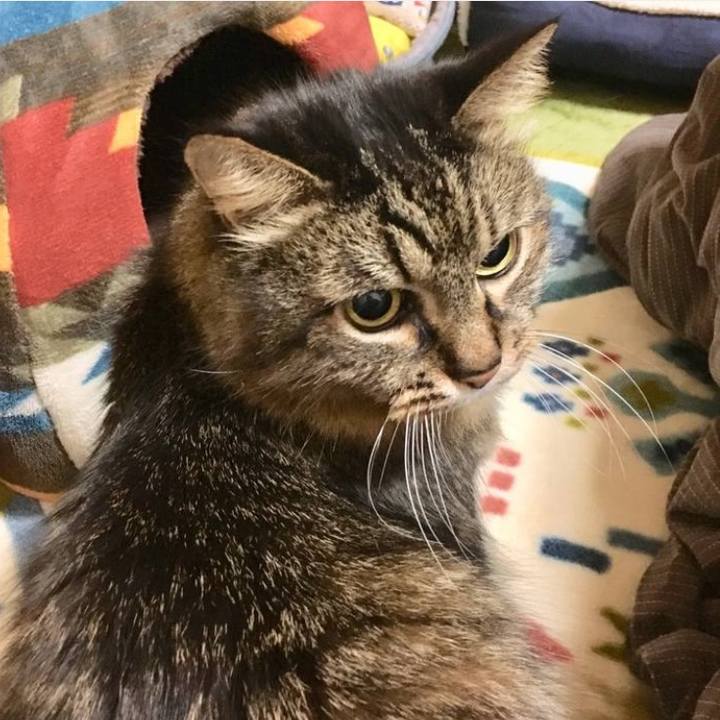 A09606e1 b278 47dd b4b1 c28dea944b2b 1769319065092