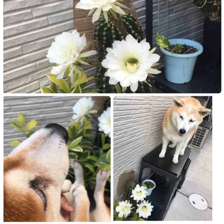 A0960b15 84fd 4901 a137 e006903afd49 1534977088741