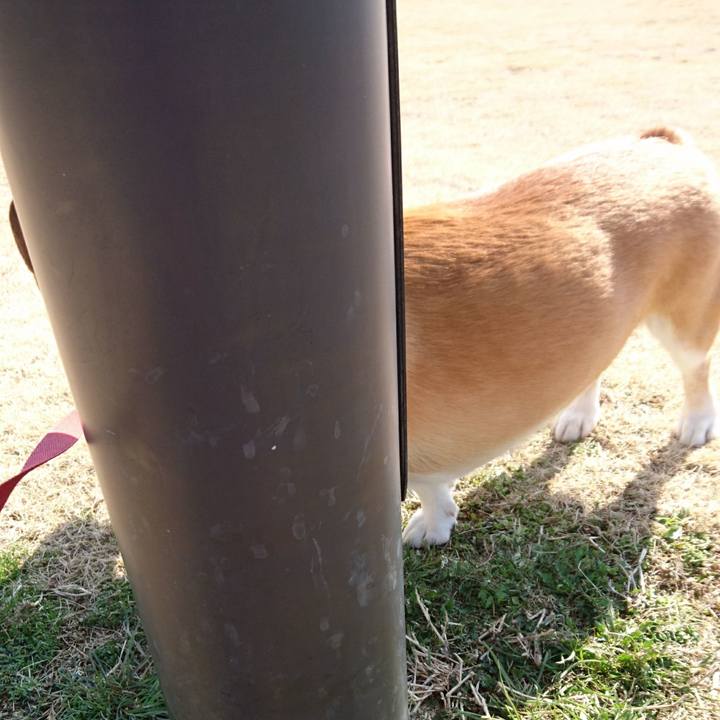 A096251e 99b0 4550 bae5 e3dbdca46954 1613810896174