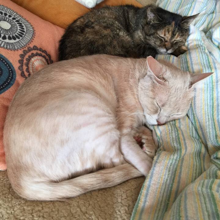 A0963a1d 3780 4df1 8ce4 b5096b07ab09 1649630681564