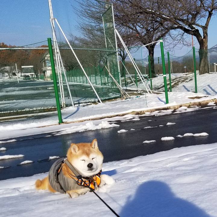 A0967d3c 9d70 46e6 ab45 ad7871def1e1 1700975649977