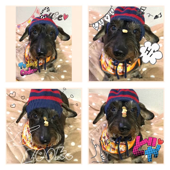 A0968c9c befd 484e 82b9 2131c732de3b 1510927492133