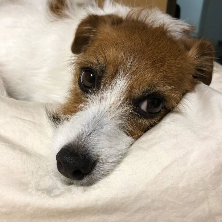 A096900a 793b 4af7 88d3 6267d6925355 1529856535616