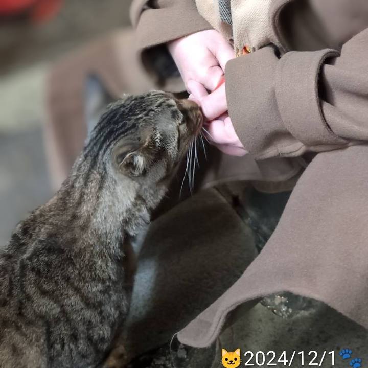 A096bd58 fce2 49d1 86da 7ae55d0d89e6 1765804930625