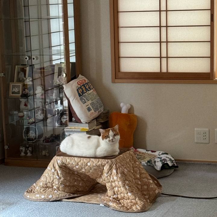 A096d5a5 7fd8 44c1 941c 1fcff10d857a 1766310332929