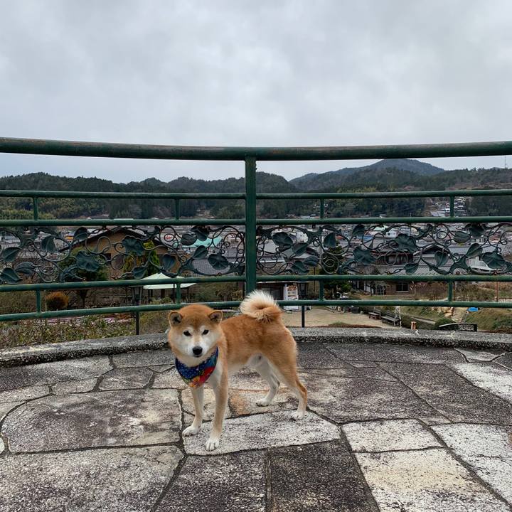 A096f62f 58c6 4b91 8bc7 63fa297598e5 1577350372540