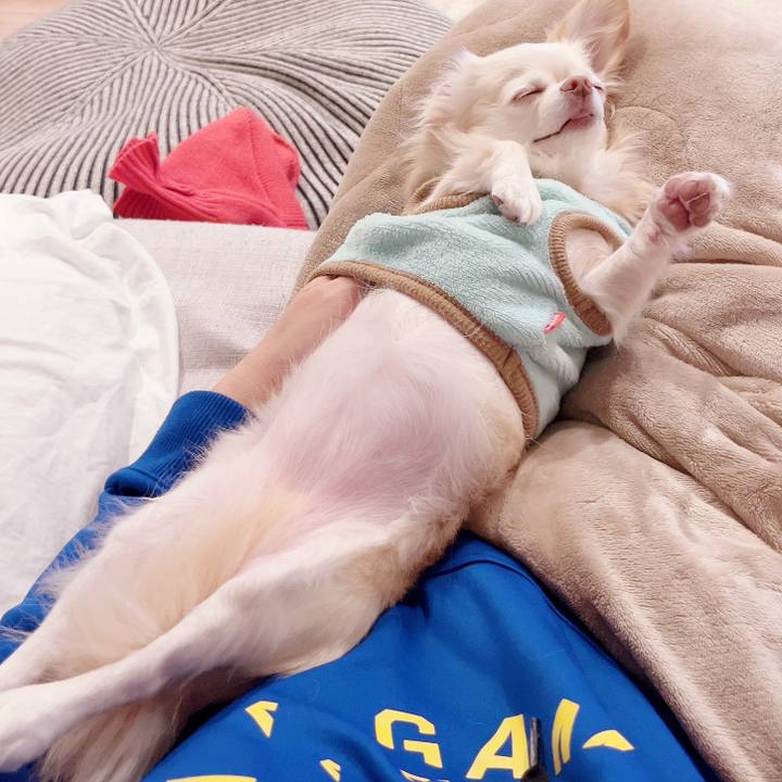 A097026b 403d 4fbb aeff 5e80afa9062b 1732711120297