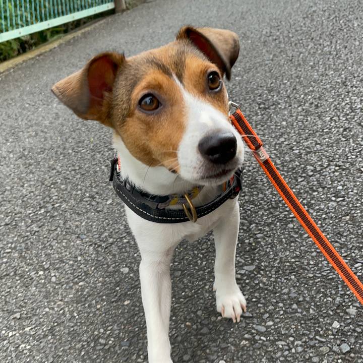 A0971044 8166 4c99 9067 77d21e635f04 1688802860279