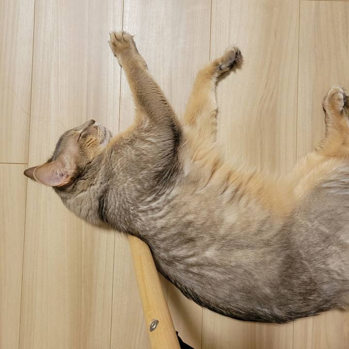 A0971d88 7535 440b 9027 51c7bfc5c1a4 1636090739304