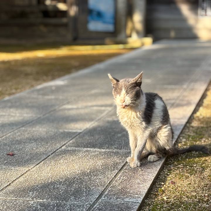 A09731a8 ea59 4404 9291 381952699a73 1764571299778