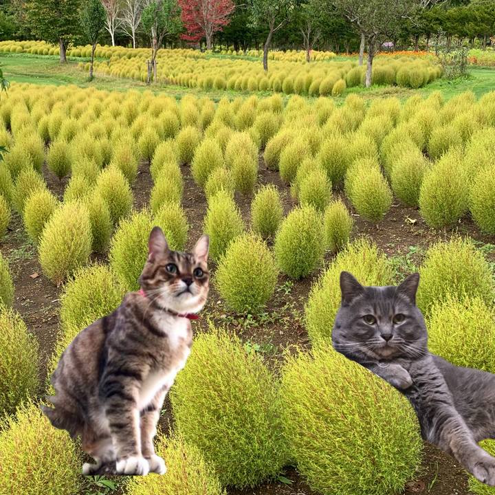 A0973e16 2b3c 4cac 8e05 292da47f4064 1758589533411