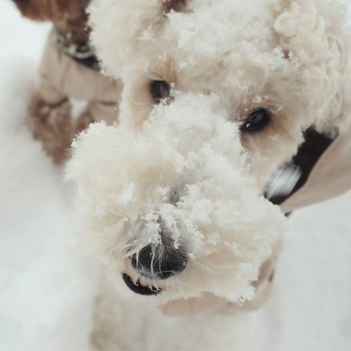 A0976326 c4a5 4a6a b94b b965118b513d 1516935745160