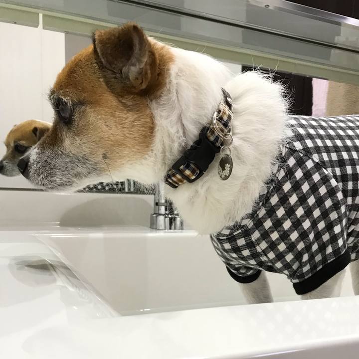 A097738f 7759 48e7 a529 1ccdeb223a4b 1549511108829