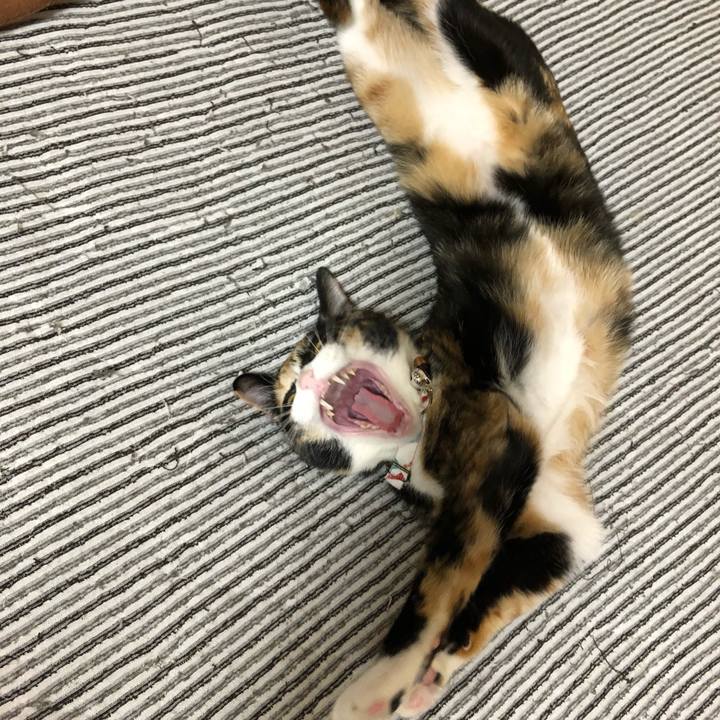 A097a1a9 4662 4b1a afdf b1de44bf2134 1560167364638