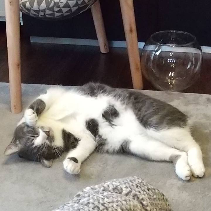 A097ab17 2aa8 4a23 9134 0d1f1c1e10bc 1610695199872