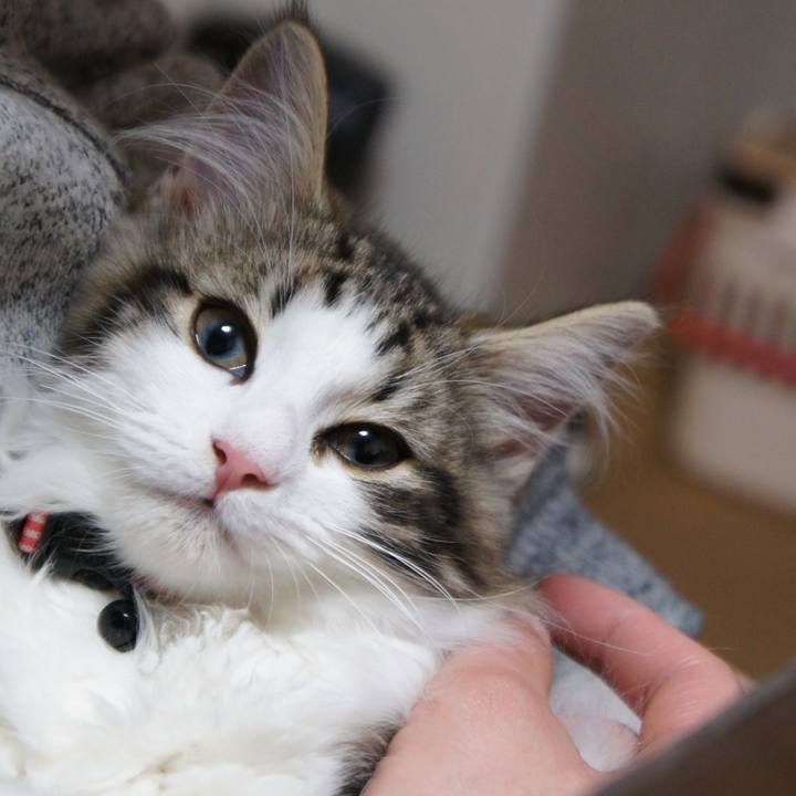 A097b9da dbba 455c 9d0e 572bb44e40a6 1708573224325