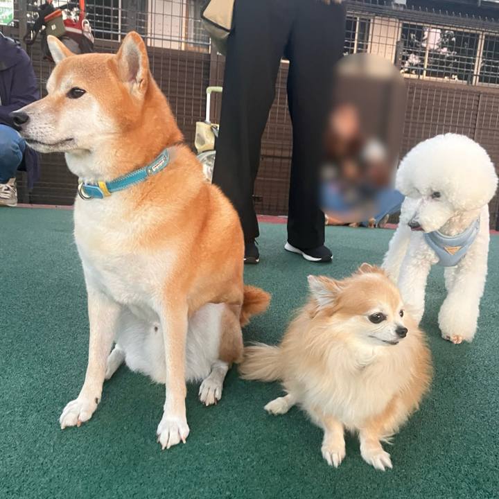 A097e6a4 2614 4e92 b8cb db966c8b2341 1761249963209