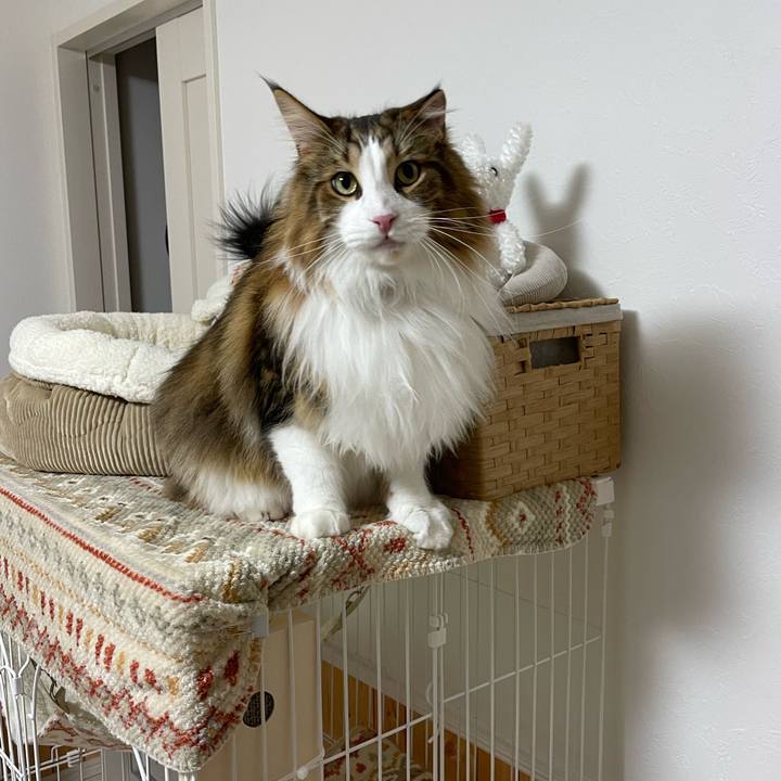 A0981b46 477c 489d a1c5 ff1d8bf71022 1702494917014