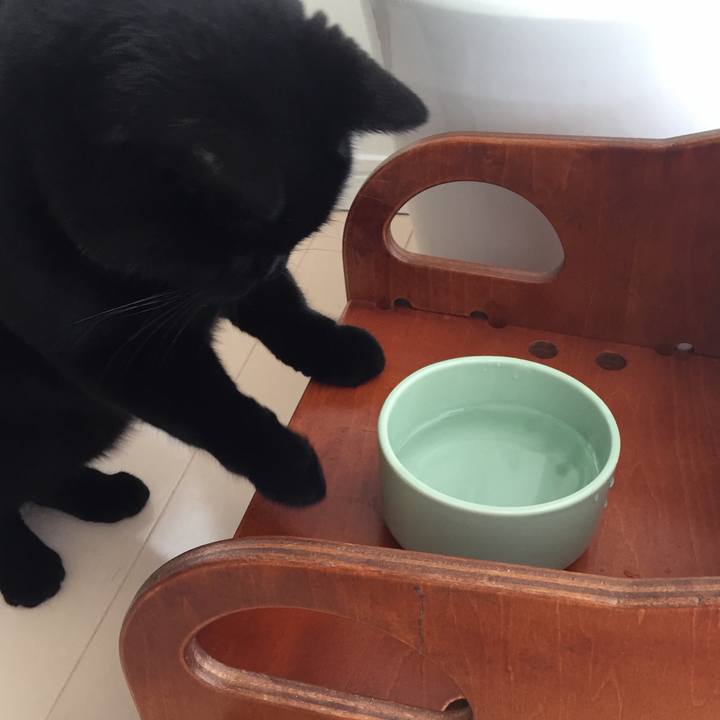 A0987754 06e1 4823 b84e a3ebac18d42b 1532643274055