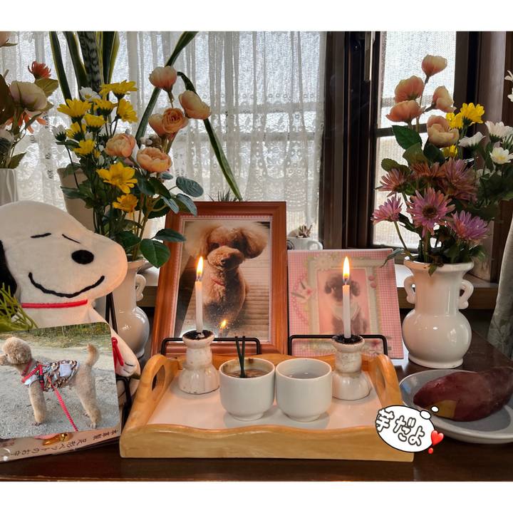 A0988b11 4016 4238 b2a0 27e0f4364f26 1741767256437