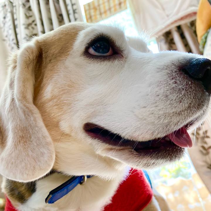 A0989829 ff30 4031 9d30 d5a0d2b315f7 1616039708011