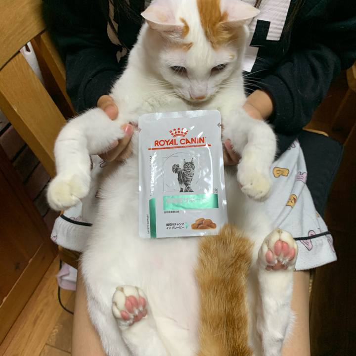 A098997c 8bad 481d 8ce1 1d332c6b421b 1602737907830