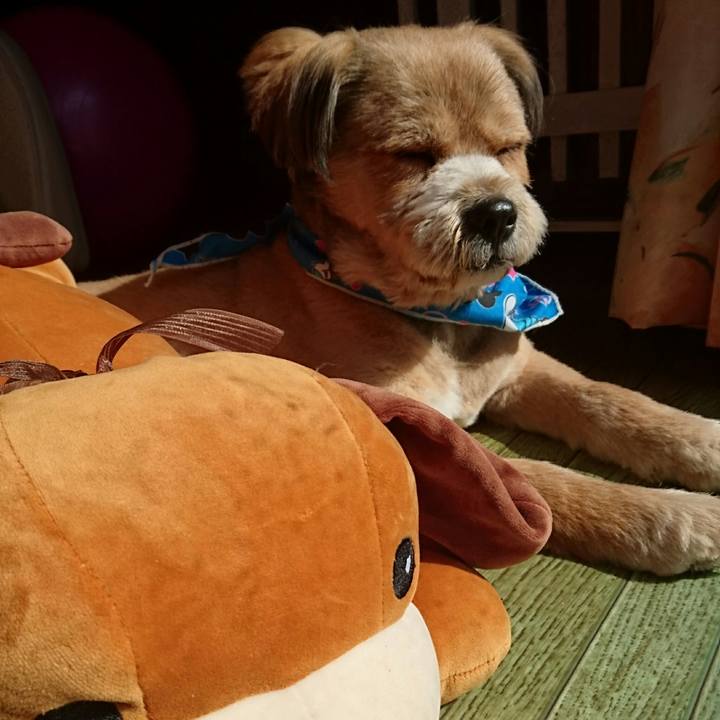 A098f5e2 a617 4a66 9833 9393aea2bf38 1524183309058